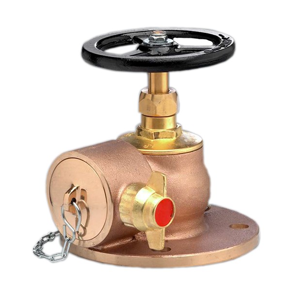 Shop our Right-Angle Globe Pattern Landing Valves