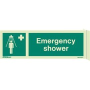 Shop our Wall Mount Emergency Shower 4367FS