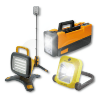 Rechargeable Torches