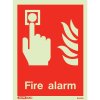 Fire Alarm Sign 6450