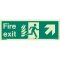 Shop our NHS Fire Exit Up Right 438HTM